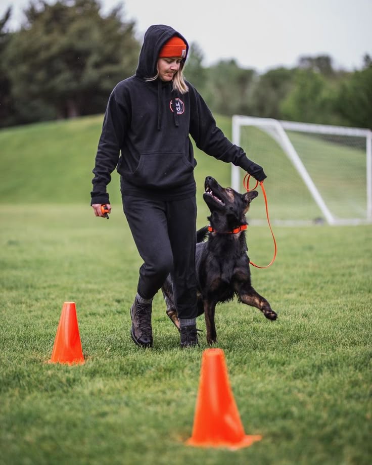 Top Dog Training Alhambra for Obedience and Agility
