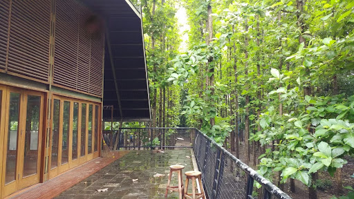 5 Ways To Incorporate Eco-Friendly Construction Material In Your Home 5 Ways To Incorporate Eco-Friendly Construction Material In Your Home