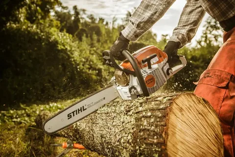Chainsaw Carving for Beginners: Tools, Techniques, and Ideas