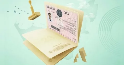 Which are the best platforms for Visa services in Dubai and UAE?
